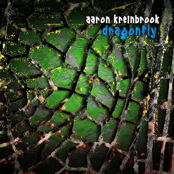 Download torrent Aaron Kreinbrook - Dragonfly (2016)