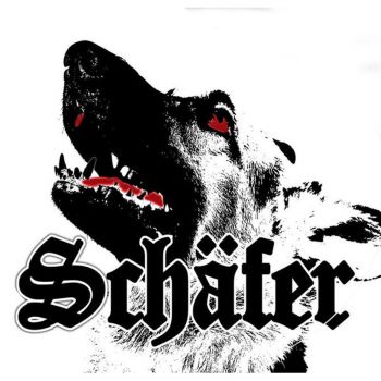 Download torrent Schafer - Schafer (2016)