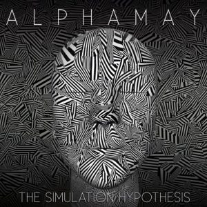 Download torrent Alphamay  The Simulation Hypothesis (2017)